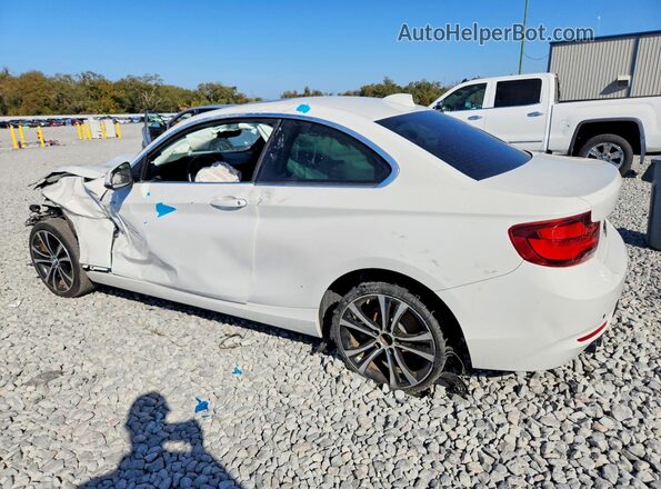 WBA2J1C03L7D90417 2020 BMW 2 SERIES White უკანა მარცხენა