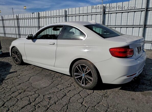 WBA2J1C58KVD10034 2019 BMW 2 SERIES White Հետևի ձախ