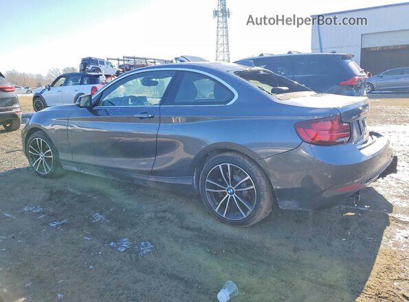 WBA2J3C00L7E75100 2020 BMW 2 SERIES Gray უკანა მარცხენა