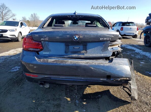 WBA2J3C00L7E75100 2020 BMW 2 SERIES Gray უკანა ხედი