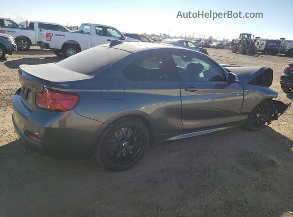 WBA2J7C55JVD60598 2018 BMW M2 Gray უკანა მარჯვენა