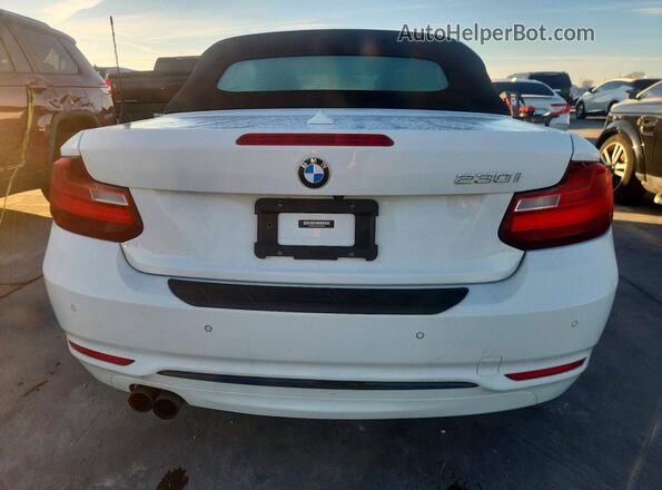 WBA2K9C53HV646949 2017 BMW 2 SERIES Белый Вид сзади