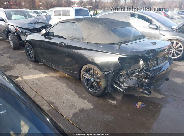 WBA2L1C52HV668648 2017 BMW M2 Black Tył lewy