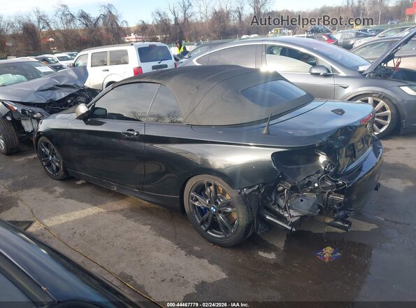 WBA2L1C52HV668648 2017 BMW M2 Black 