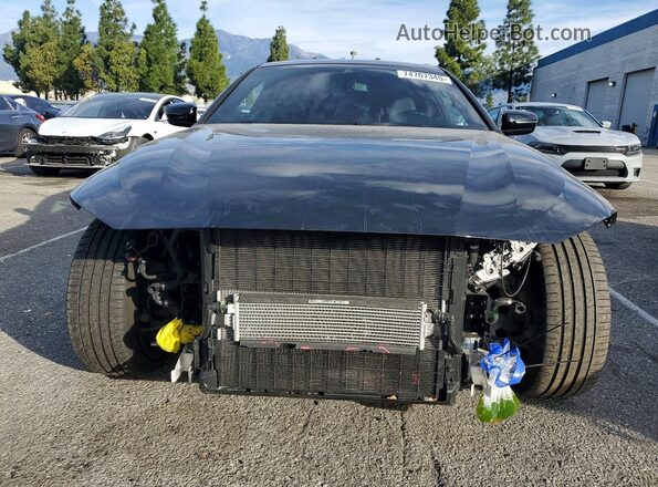 WBA83AP01PCL98184 2023 BMW M4 Black Vista frontal