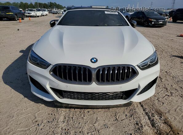 WBAFY4C06LCD38303 2020 BMW M8 White Դիմացի տեսք