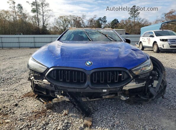 WBAGV8C02PCL67191 2023 BMW M8 Blue Front view