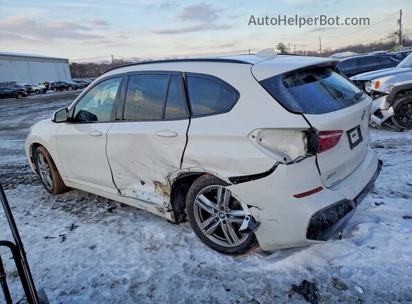 WBXJG9C07L5P86180 2020 BMW X1 White 