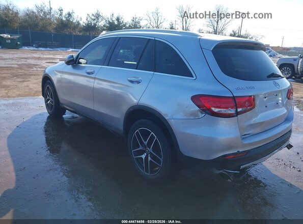 WDC0G4JB8GF051217 2016 MERCEDES-BENZ GLC 300 Silver Trasero izquierdo