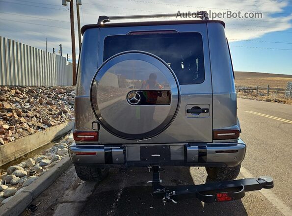 WDCYC6BJ9LX333757 2020 MERCEDES-BENZ G-CLASS Gray უკანა ხედი