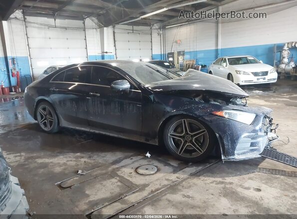 WDD2J5KB2KA013756 2019 MERCEDES-BENZ CLS-CLASS Blue Vista interior trasera
