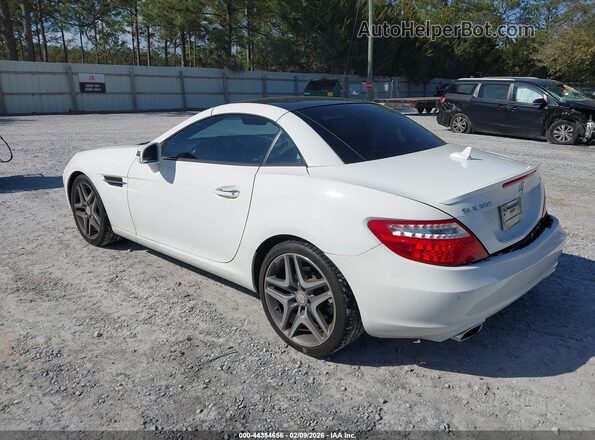 WDDPK3JA6GF117788 2016 MERCEDES-BENZ SLK 300 Белый Задняя левая четверть