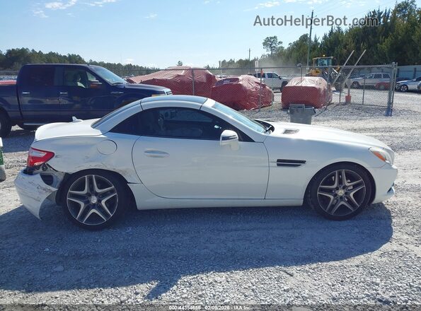 WDDPK3JA6GF117788 2016 MERCEDES-BENZ SLK 300 Белый Вид задней части салона