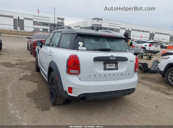 WMZYW5C01L3M24493 2020 MINI COUNTRYMAN White Rear left