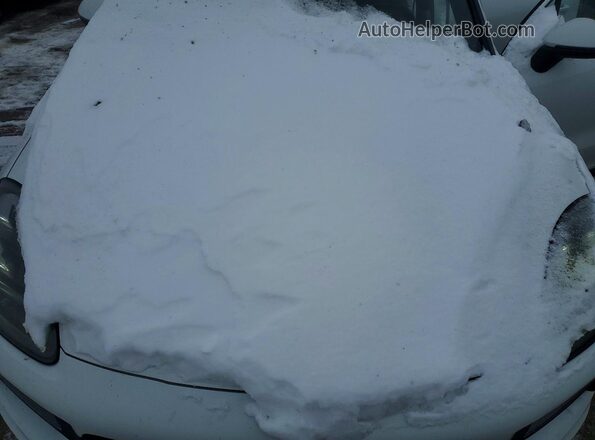 WP1AA2AY9MDA00061 2021 PORSCHE CAYENNE White ძრავის განყოფილების ხედი