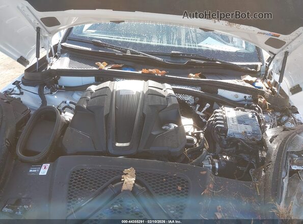 WP1AG2A55SLB43368 2025 PORSCHE MACAN Белый Вид сзади