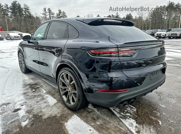 WP1BA2AY6LDA48233 2020 PORSCHE CAYENNE Blue Հետևի աջ