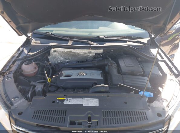 WVGAV7AX4GW087348 2016 VOLKSWAGEN TIGUAN Gray Rear view
