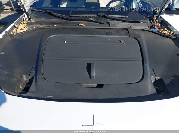 YSREA3YB0SB002802 2025 POLESTAR 3 Белый Вид сзади