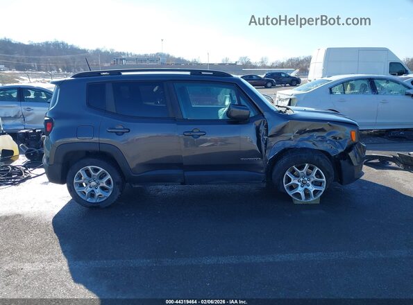 ZACCJABB9JPJ20984 2018 JEEP RENEGADE Gray Widok wnętrza z tyłu