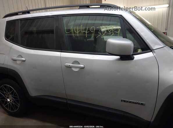 ZACNJABB3LPL05625 2020 JEEP RENEGADE Серебряный Вид задней части салона