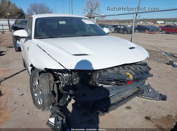 ZACPDFCW4R3A28579 2024 DODGE OTHER Белый Вид задней части салона