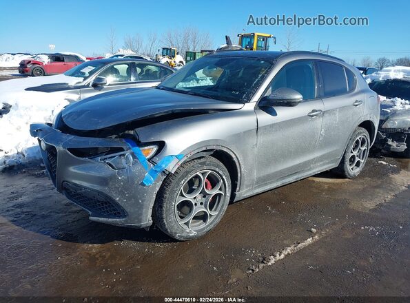 ZASPAKAN1K7C32108 2019 ALFA ROMEO STELVIO Серый 