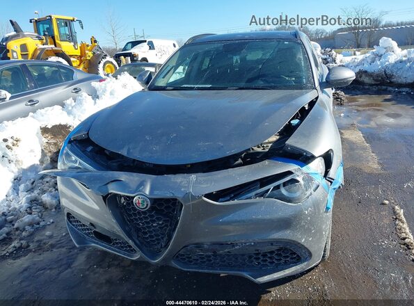 ZASPAKAN1K7C32108 2019 ALFA ROMEO STELVIO Серый 