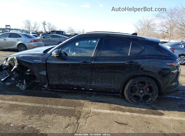 ZASPAKAN1S7D95342 2025 ALFA ROMEO STELVIO Black Սալոնի 360 աստիճան տեսք