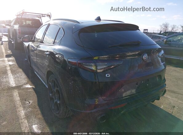 ZASPAKAN1S7D95342 2025 ALFA ROMEO STELVIO Black Հետևի ձախ