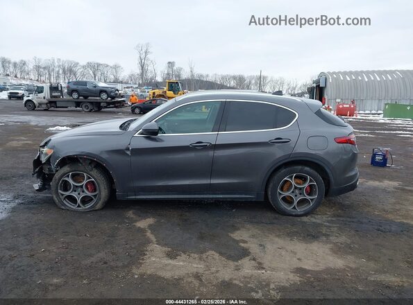 ZASPAKAN3K7C32370 2019 ALFA ROMEO STELVIO Gray Панорамний вид салону 360°