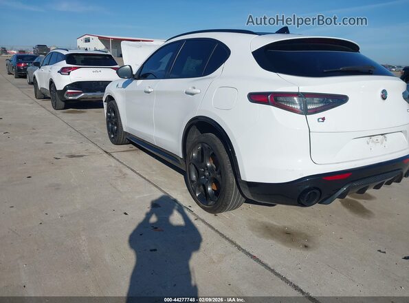 ZASPAKBN0R7D75558 2024 ALFA ROMEO STELVIO White Trasero izquierdo
