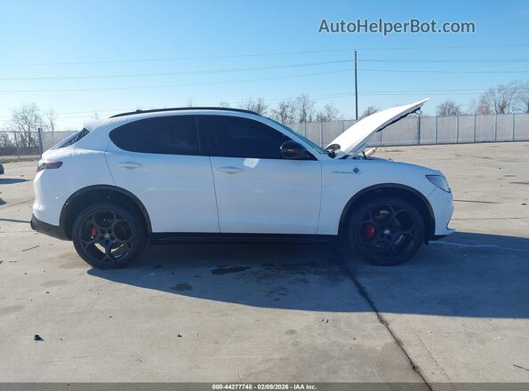 ZASPAKBN0R7D75558 2024 ALFA ROMEO STELVIO White Vista interior trasera