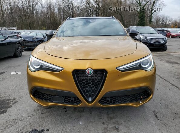 ZASPAKBN2P7D63067 2023 ALFA ROMEO STELVIO Gold Вид спереду