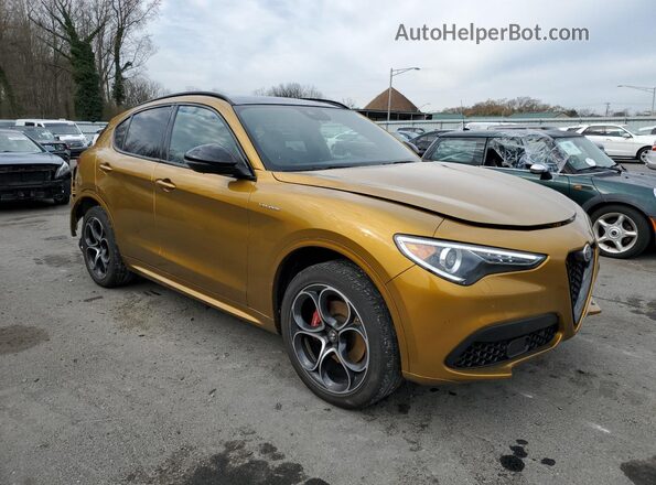 ZASPAKBN2P7D63067 2023 ALFA ROMEO STELVIO Gold Передня права чверть
