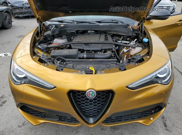 ZASPAKBN2P7D63067 2023 ALFA ROMEO STELVIO Gold Вид задньої частини салону