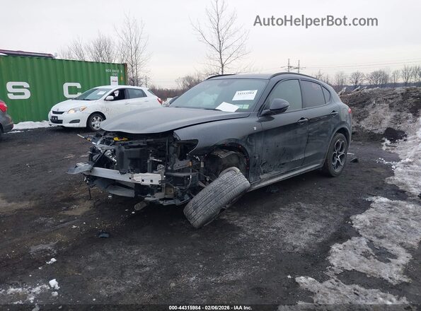 ZASPAKBN3P7D58394 2023 ALFA ROMEO STELVIO Gray Передня ліва чверть