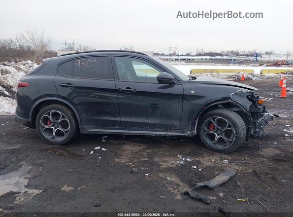 ZASPAKBN3P7D58394 2023 ALFA ROMEO STELVIO Gray Вид задньої частини салону
