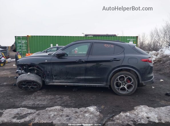ZASPAKBN3P7D58394 2023 ALFA ROMEO STELVIO Gray Панорамний вид салону 360°