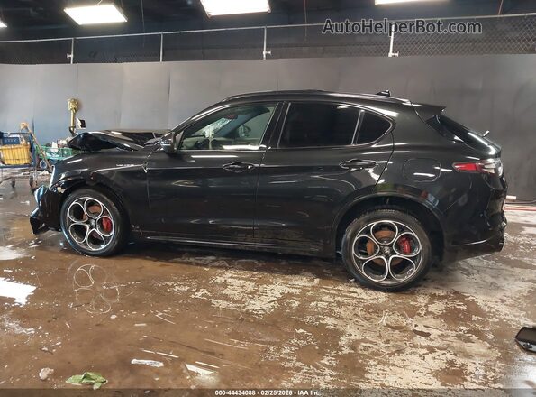 ZASPAKBN3R7D78809 2024 ALFA ROMEO STELVIO Black 360 interior view