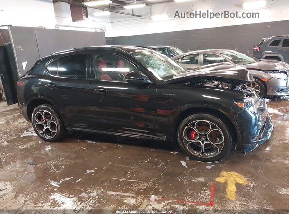 ZASPAKBN3R7D78809 2024 ALFA ROMEO STELVIO Black Rear interior view