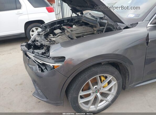 ZASPAKBN4M7D18739 2021 ALFA ROMEO STELVIO Серый 