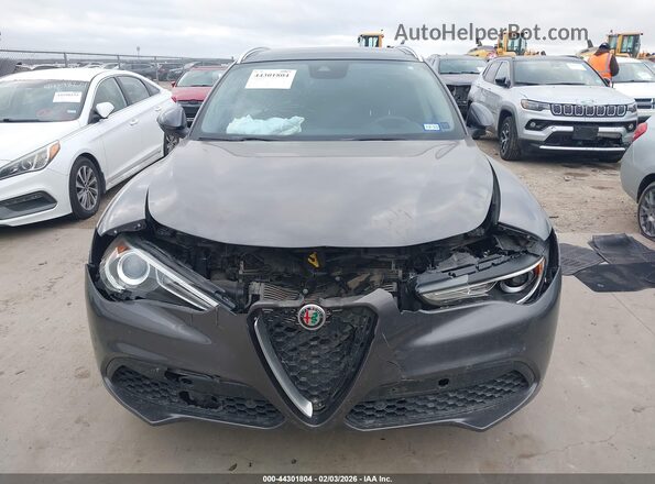 ZASPAKBN4M7D18739 2021 ALFA ROMEO STELVIO Серый Вид задней части салона