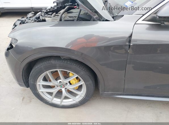 ZASPAKBN4M7D18739 2021 ALFA ROMEO STELVIO Серый 