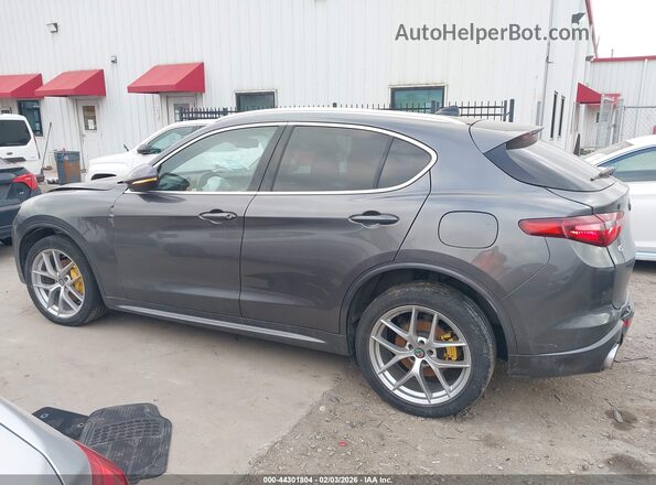 ZASPAKBN4M7D18739 2021 ALFA ROMEO STELVIO Серый 