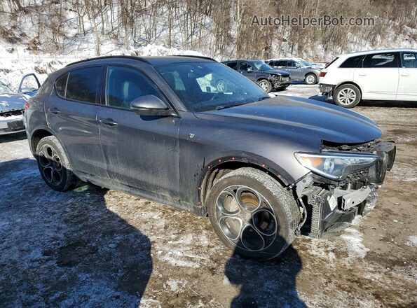 ZASPAKBN7P7D58267 2023 ALFA ROMEO STELVIO Gray Передня права чверть