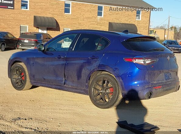 ZASPAKBN9M7D02259 2021 ALFA ROMEO STELVIO Blue Trasero izquierdo