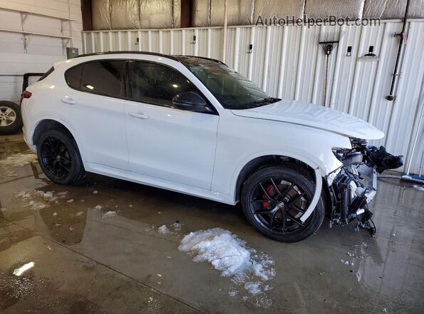 ZASPAKBN9M7D13813 2021 ALFA ROMEO STELVIO White 