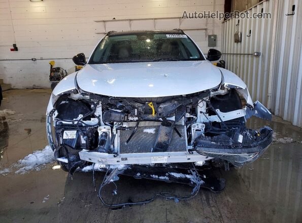 ZASPAKBN9M7D13813 2021 ALFA ROMEO STELVIO White 