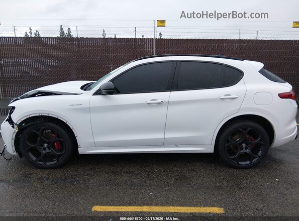 ZASPAKBN9N7D43640 2022 ALFA ROMEO STELVIO White Панорамний вид салону 360°